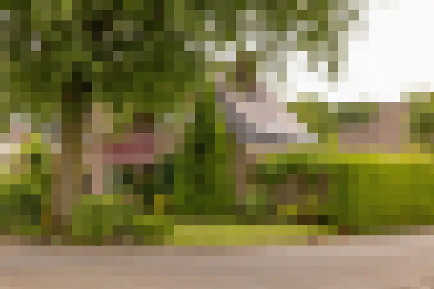 Copernicuslaan 7 Hoogeveen thumbnail 6