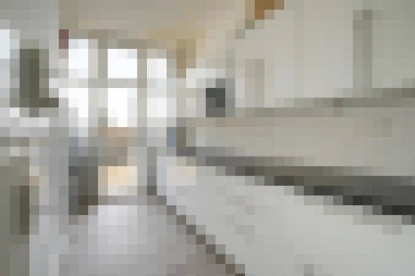 Copernicuslaan 8 Den Haag thumbnail 10