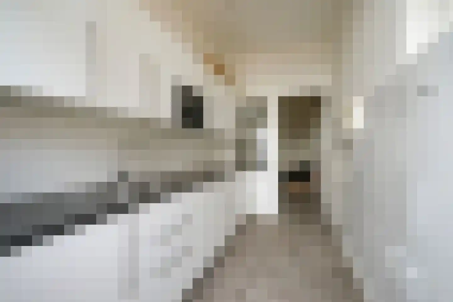 Copernicuslaan 8 Den Haag thumbnail 11