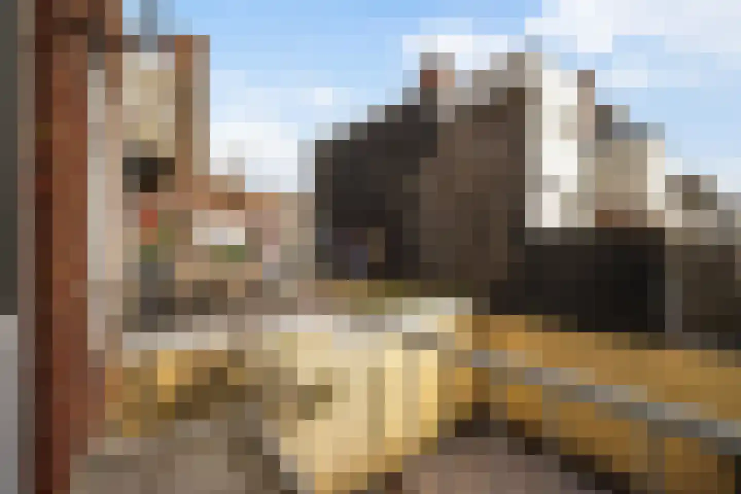 Copernicuslaan 8 Den Haag thumbnail 12