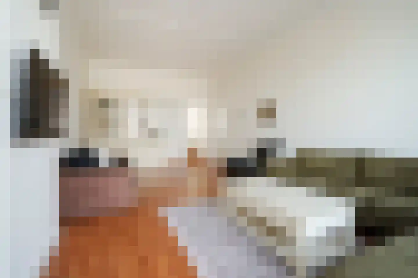 Copernicuslaan 8 Den Haag thumbnail 6