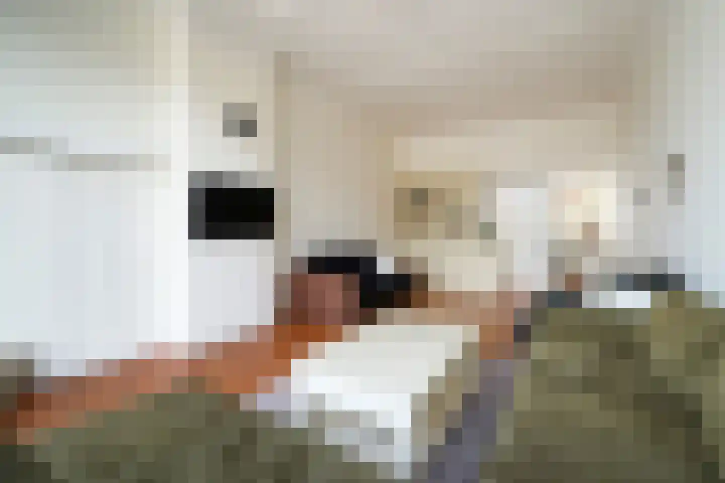 Copernicuslaan 8 Den Haag thumbnail 7