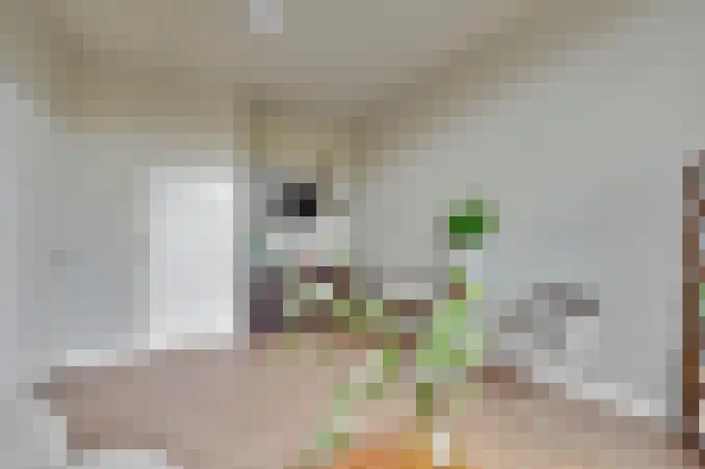 Copernicusplein 2 C Den Haag thumbnail 14