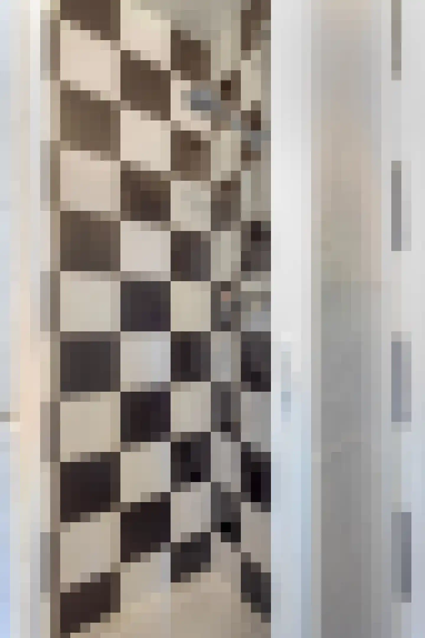 Copernicusplein 3 E Den Haag thumbnail 18