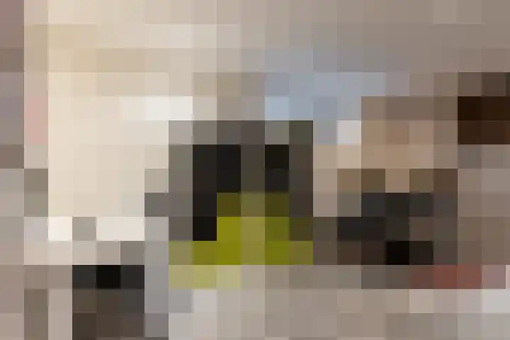 Copernicussingel 7 Schoonhoven thumbnail 11