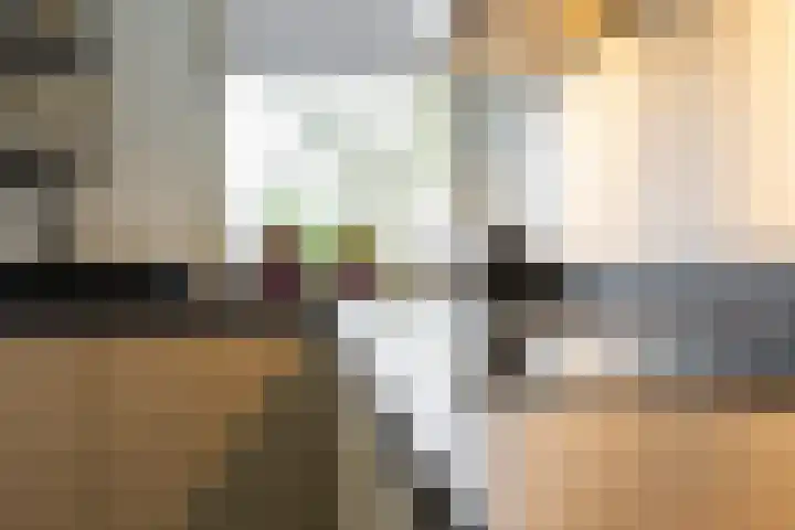 Copernicussingel 7 Schoonhoven thumbnail 34