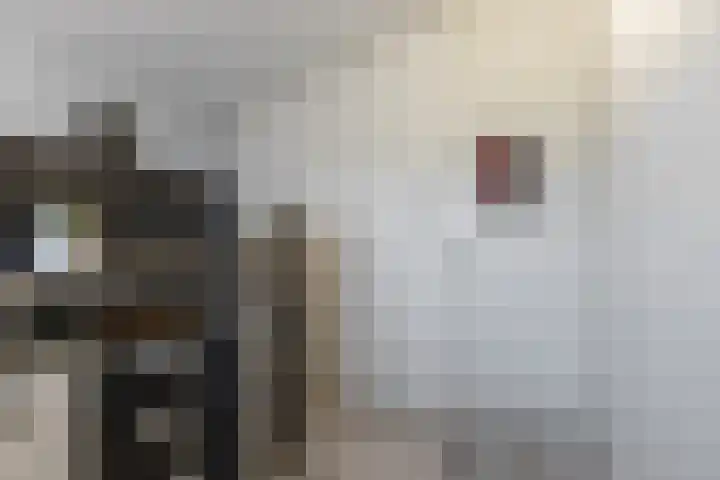 Copernicussingel 7 Schoonhoven thumbnail 38