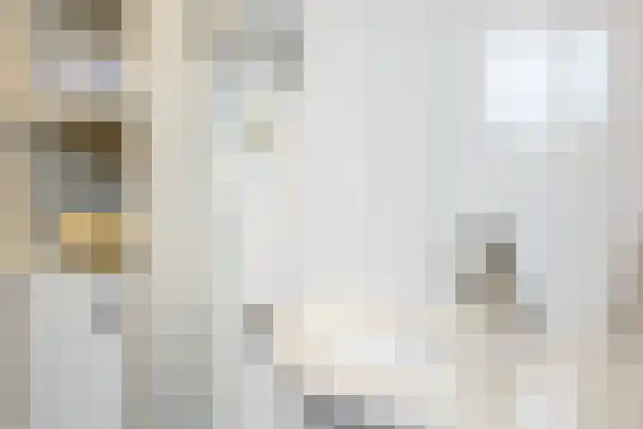 Copernicussingel 7 Schoonhoven thumbnail 51