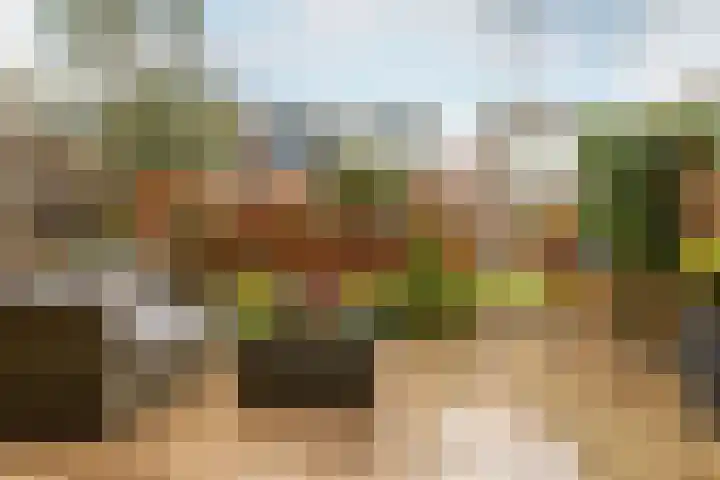 Copernicussingel 7 Schoonhoven thumbnail 61