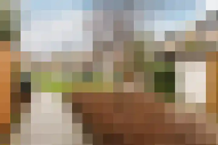 Copernicussingel 7 Schoonhoven thumbnail 64
