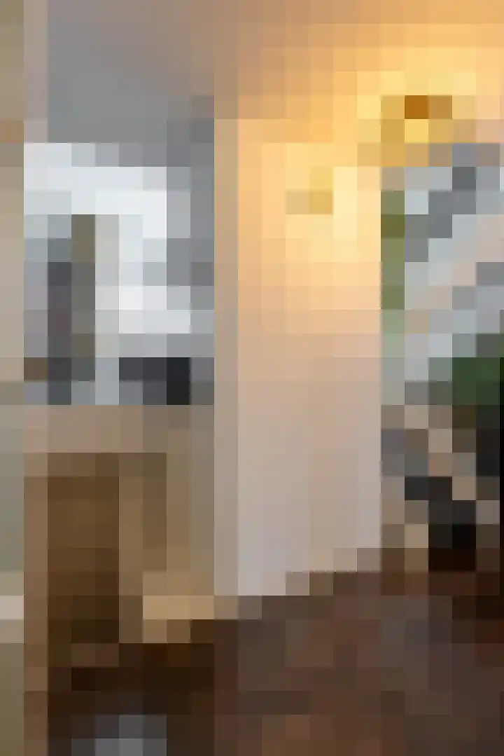 Copernicussingel 7 Schoonhoven thumbnail 8