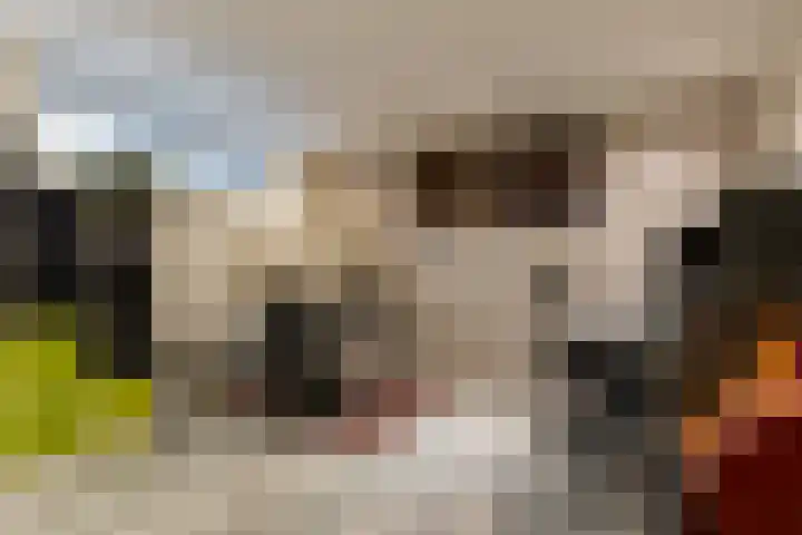 Copernicussingel 7 Schoonhoven thumbnail 9