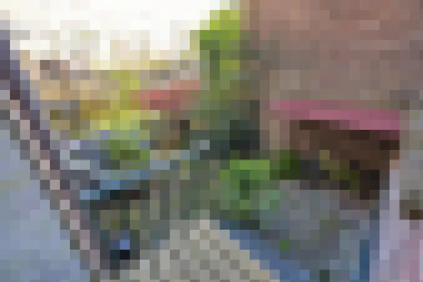 Copernicusstraat 10 Schiedam thumbnail 17