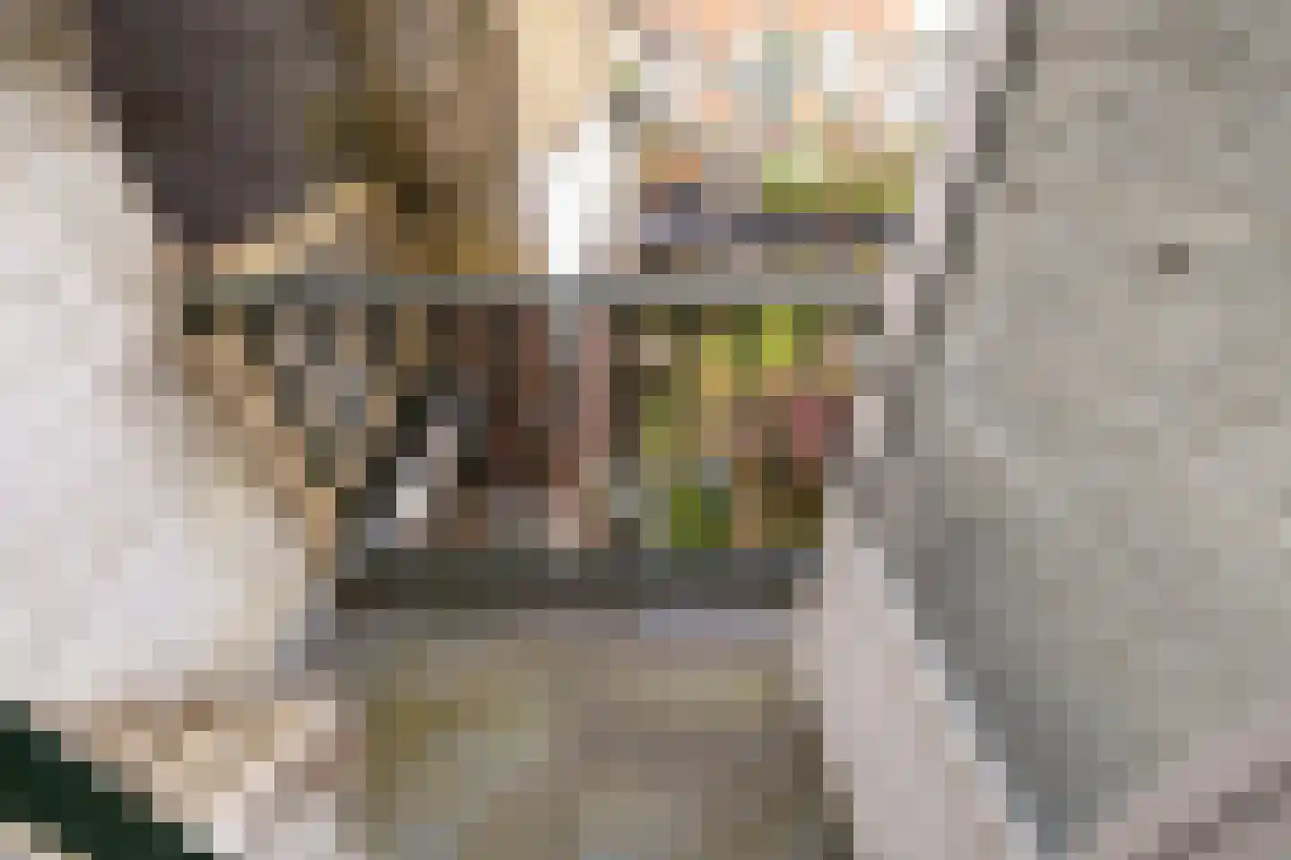 Copernicusstraat 10 Schiedam thumbnail 27
