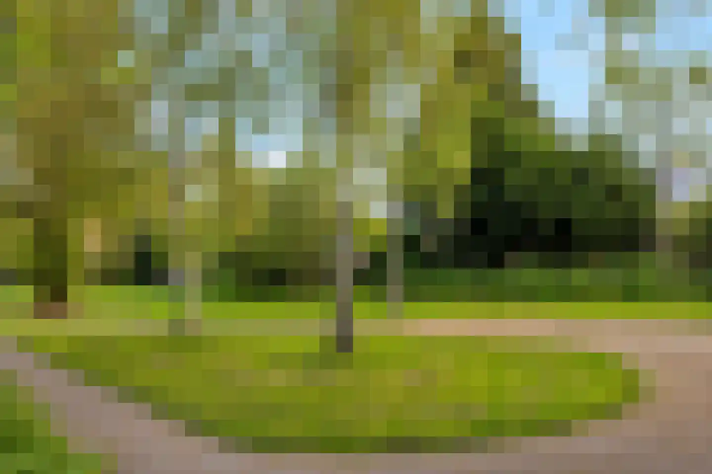 Copernicusstraat 10 Schiedam thumbnail 38