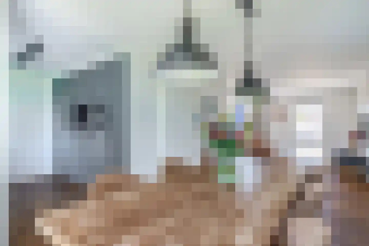 Copernicusstraat 10 Vlierden thumbnail 17