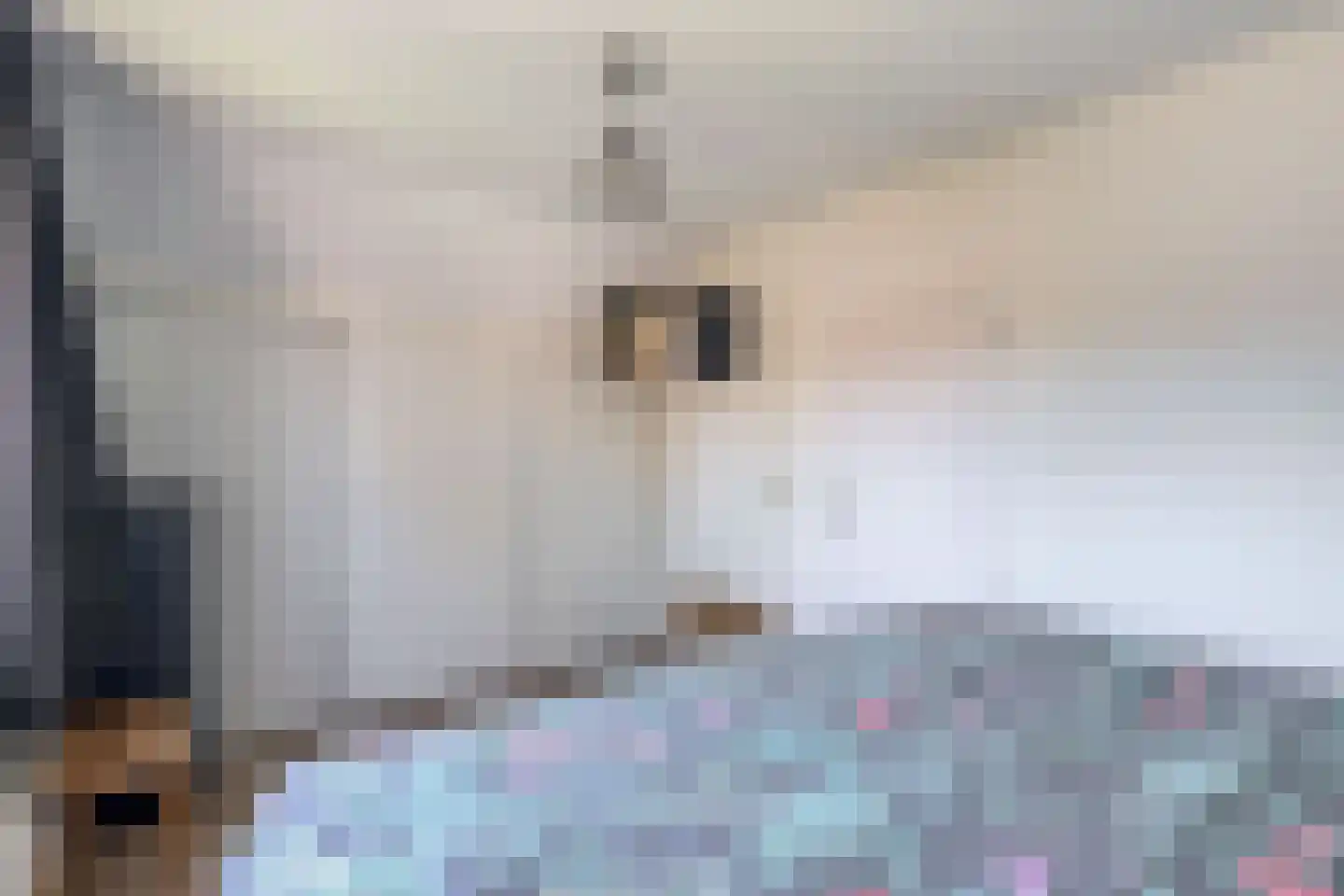 Copernicusstraat 10 Vlierden thumbnail 33