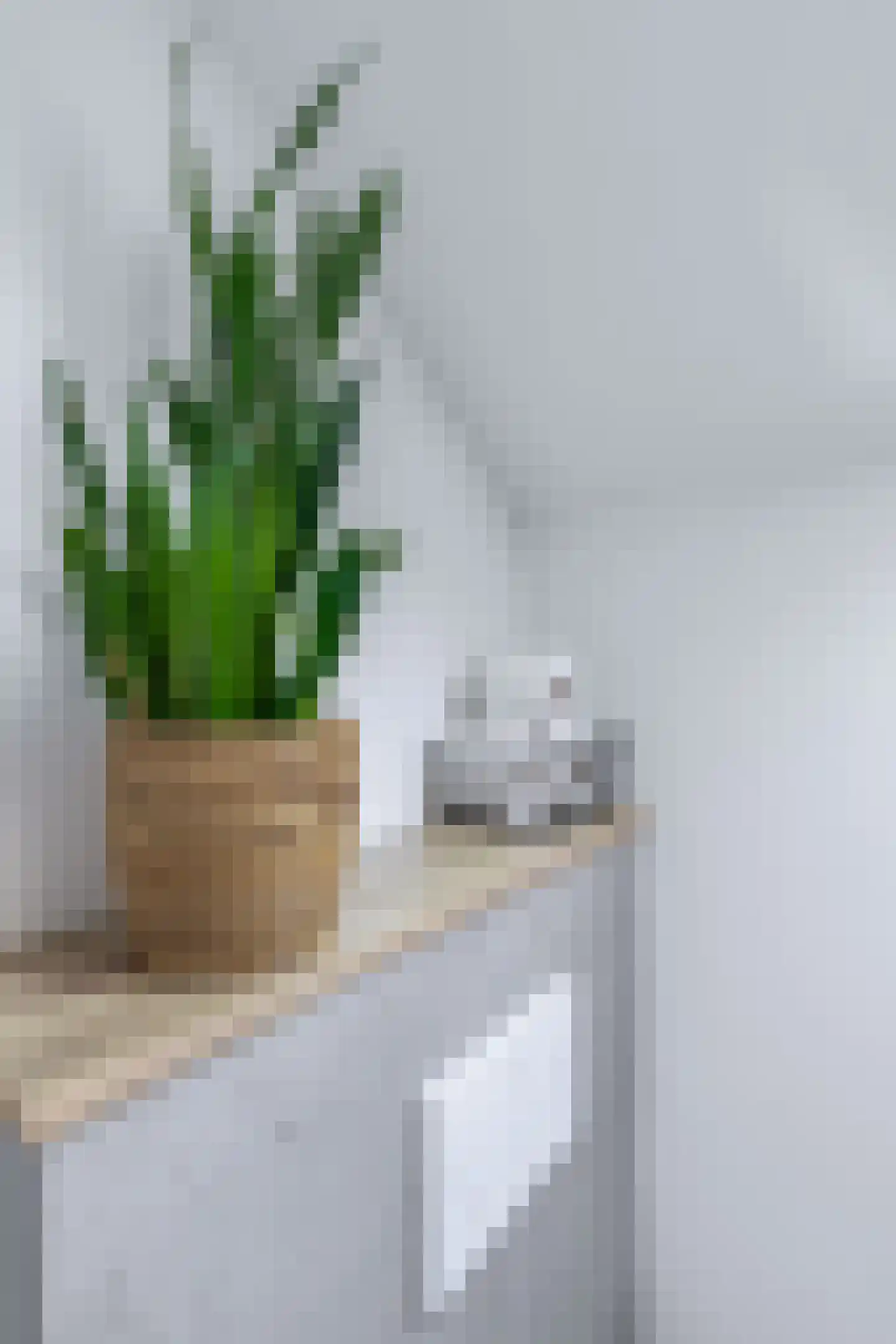 Copernicusstraat 10 Vlierden thumbnail 38