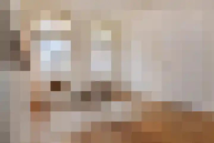 Copernicusstraat 11 A Den Haag foto 2