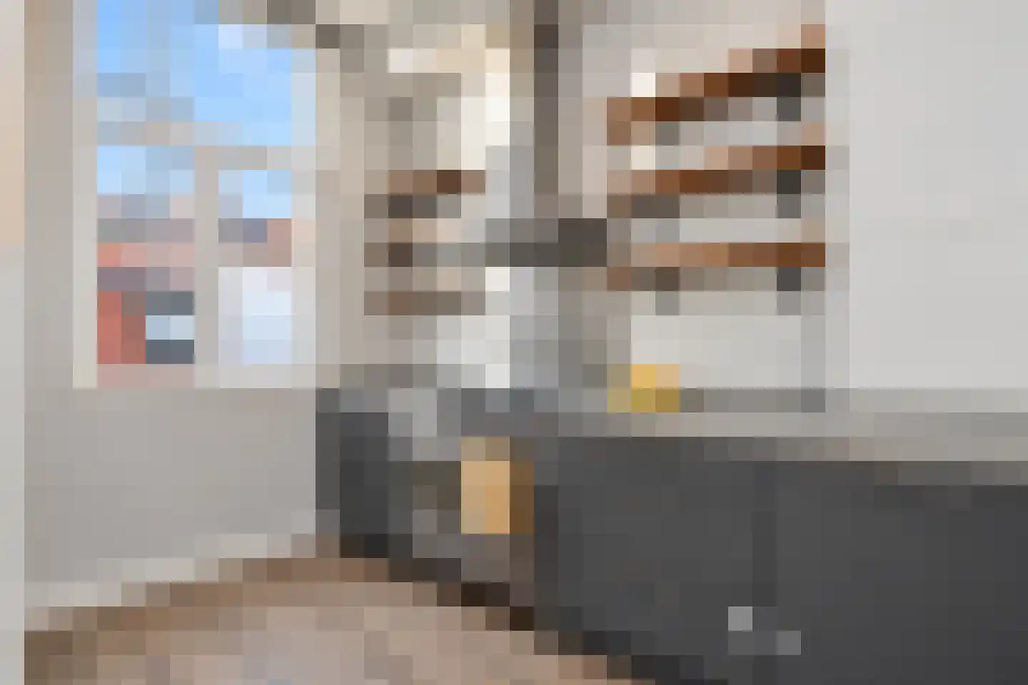 Copernicusstraat 124 Den Haag thumbnail 22