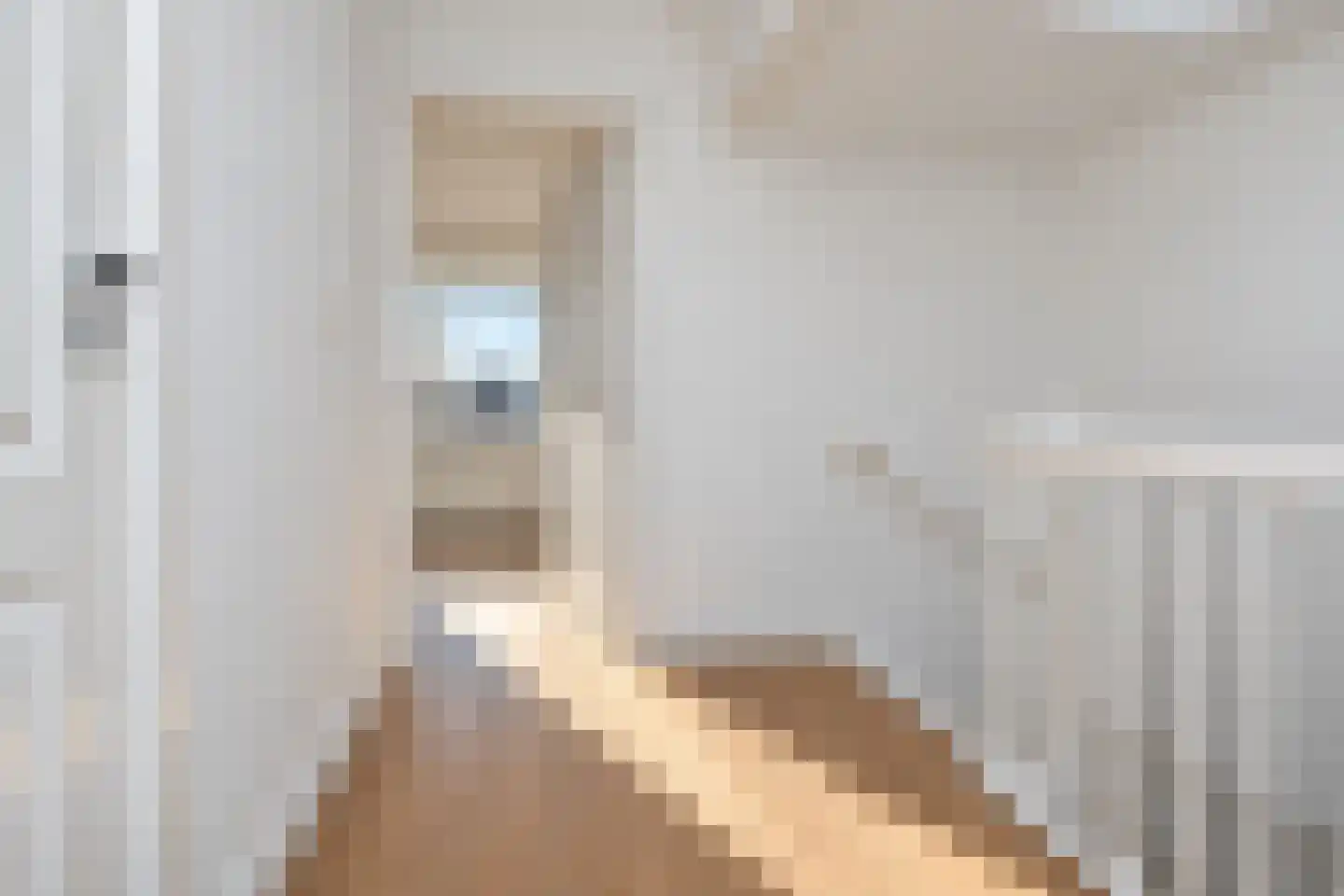 Copernicusstraat 124 Den Haag thumbnail 46