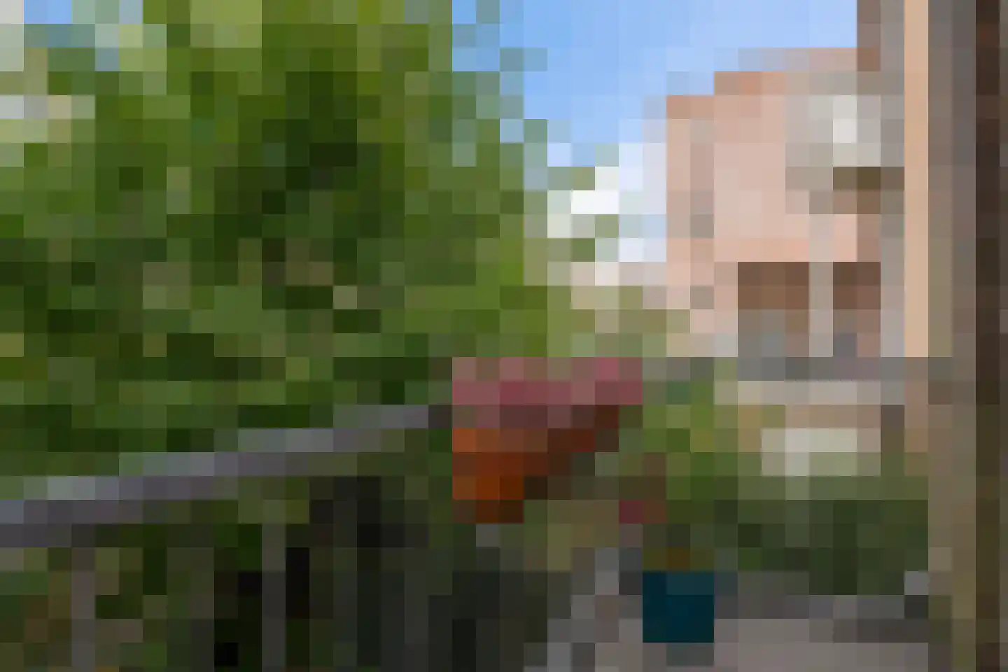 Copernicusstraat 169 Den Haag thumbnail 40