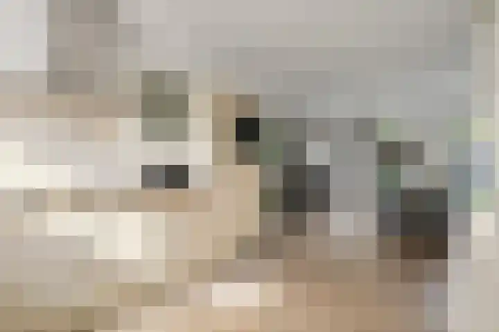 Copernicusstraat 20 Kudelstaart thumbnail 11