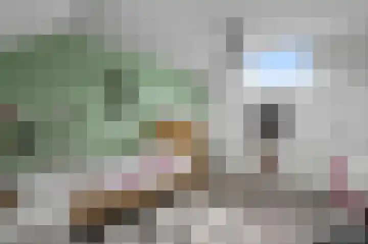 Copernicusstraat 20 Kudelstaart thumbnail 32