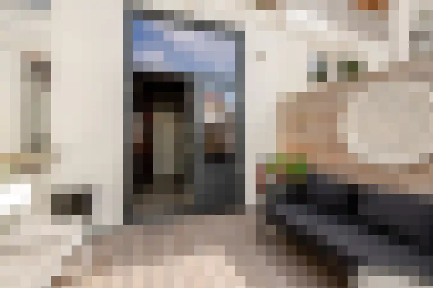 Copernicusstraat 205 Den Haag thumbnail 28