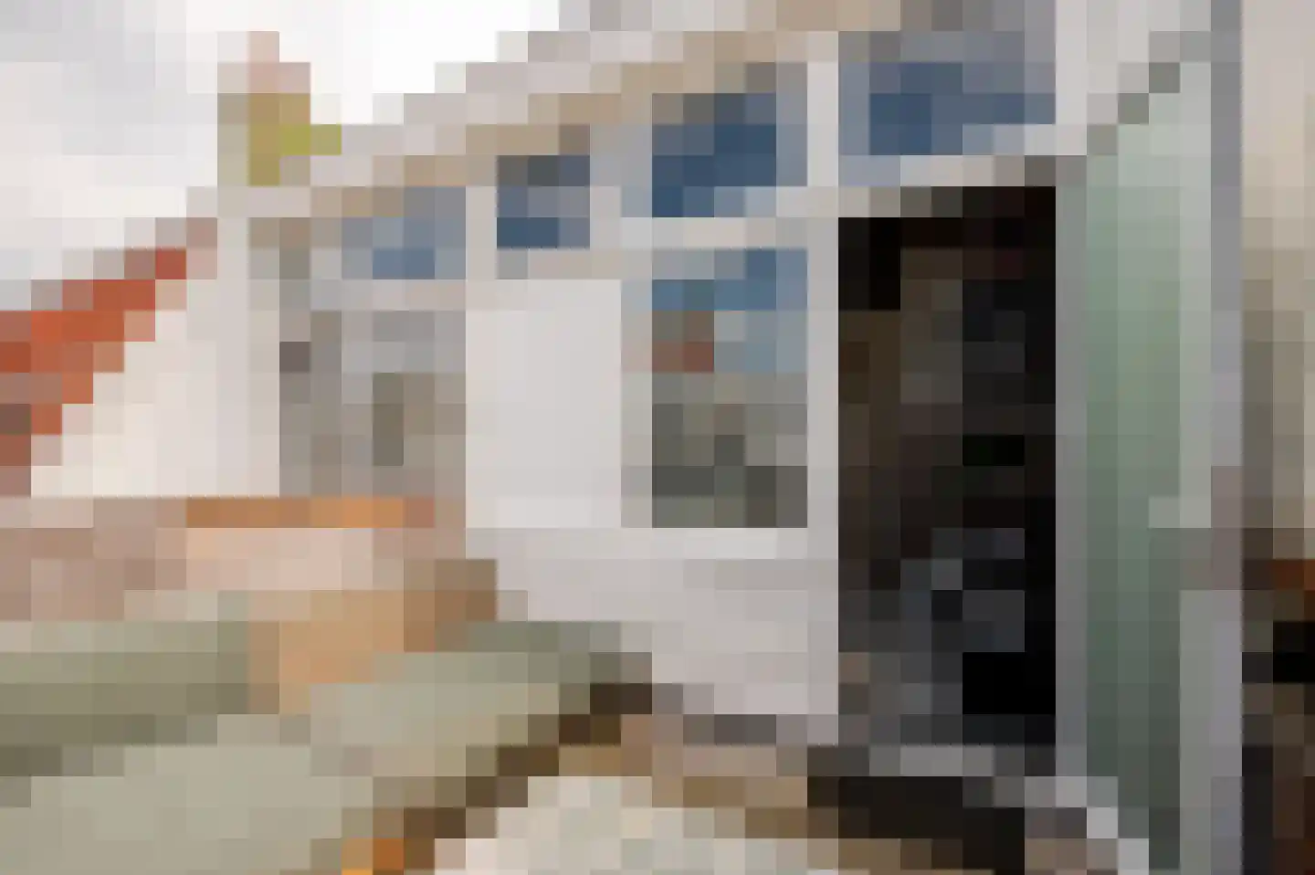 Copernicusstraat 205 Den Haag thumbnail 41