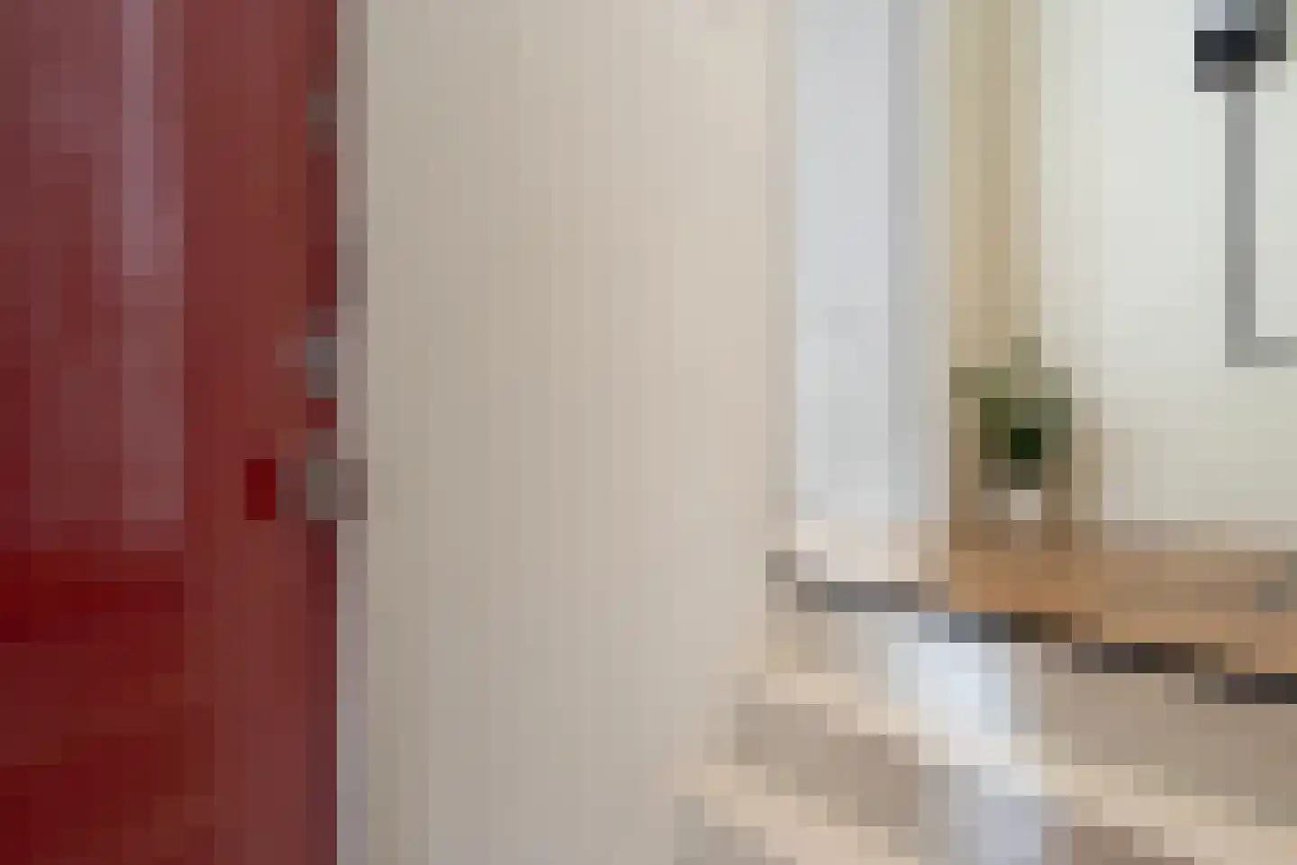Copernicusstraat 219 Den Haag thumbnail 5