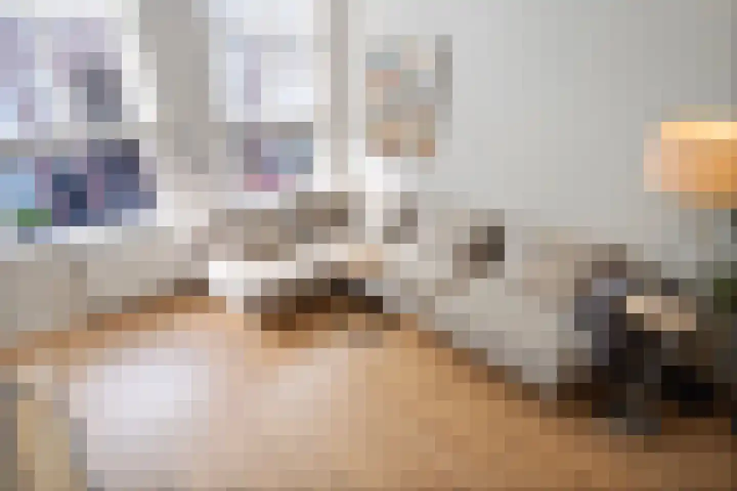 Copernicusstraat 219 Den Haag thumbnail 7