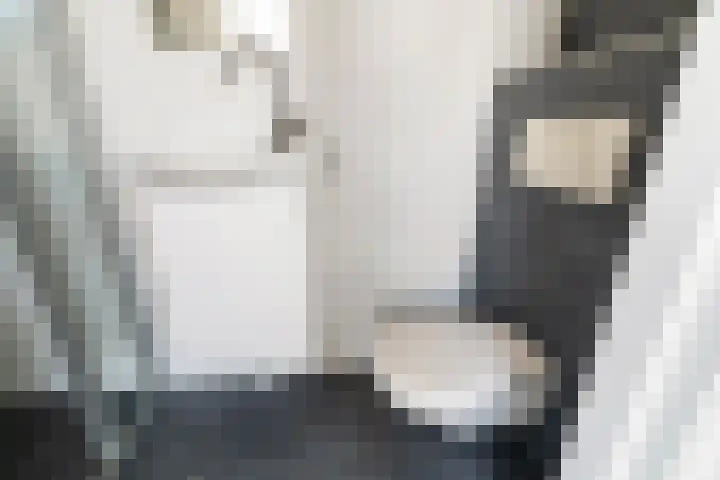 Copernicusstraat 220 B Den Haag thumbnail 12