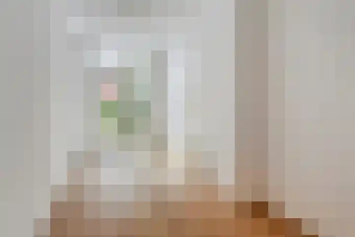 Copernicusstraat 284 Den Haag thumbnail 19