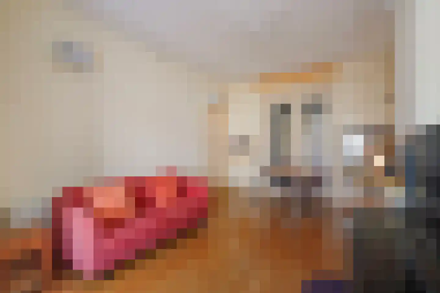 Copernicusstraat 29 Den Haag thumbnail 21