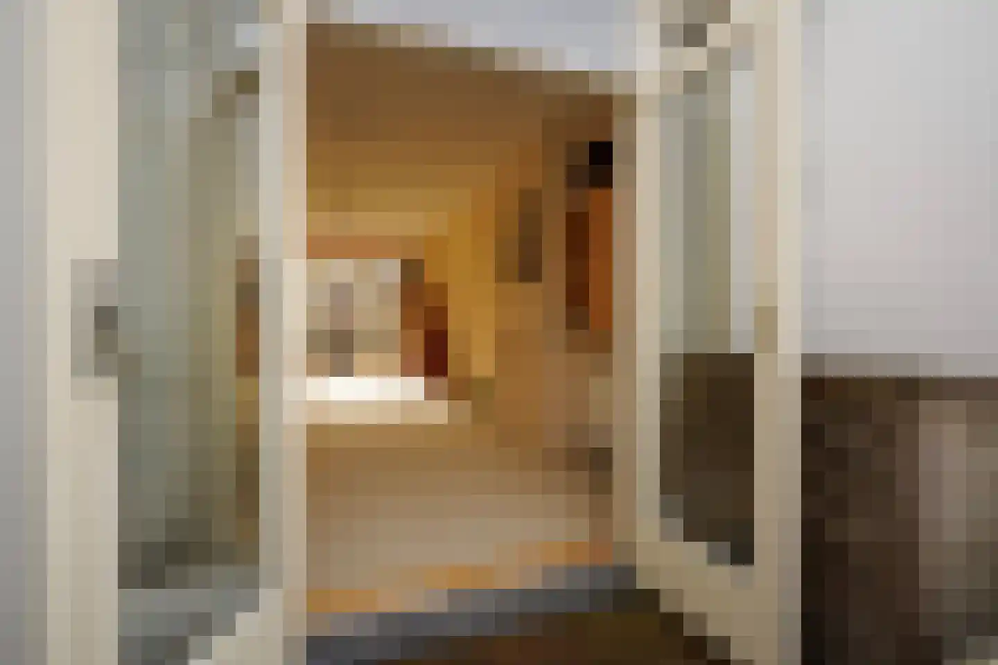 Copernicusstraat 29 Den Haag thumbnail 50