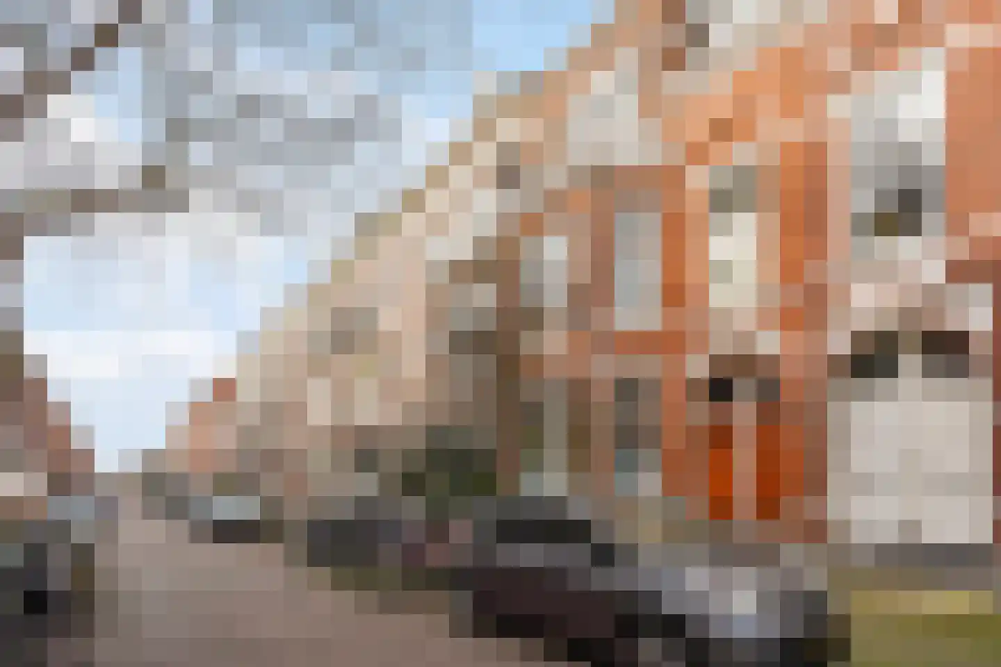 Copernicusstraat 29 Den Haag thumbnail 6