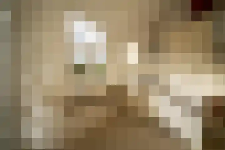 Copernicusstraat 290 Den Haag thumbnail 15