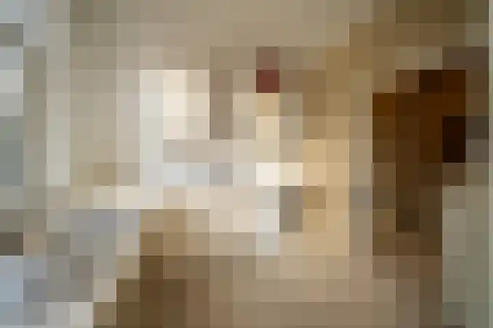 Copernicusstraat 290 Den Haag thumbnail 17