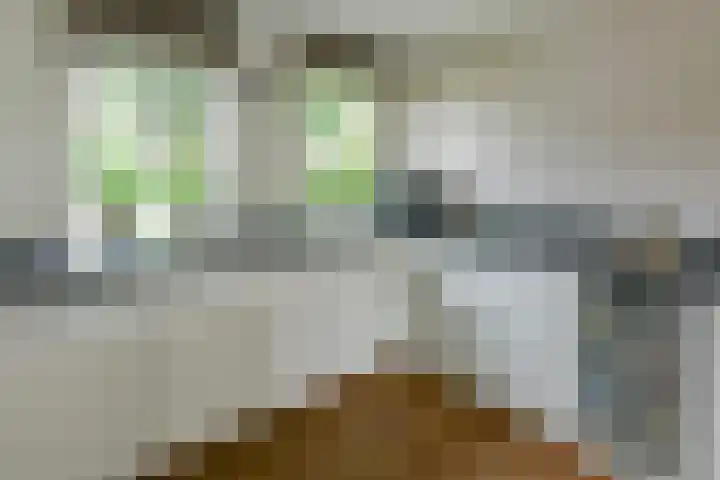 Copernicusstraat 3 Kudelstaart thumbnail 7