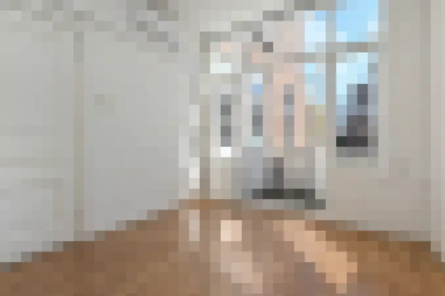 Copernicusstraat 310 Den Haag thumbnail 4