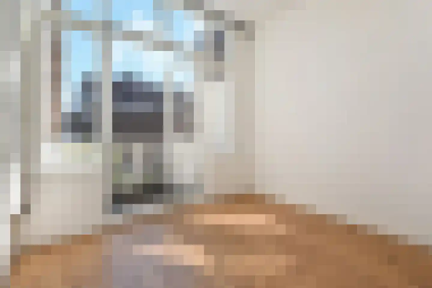 Copernicusstraat 310 Den Haag thumbnail 5