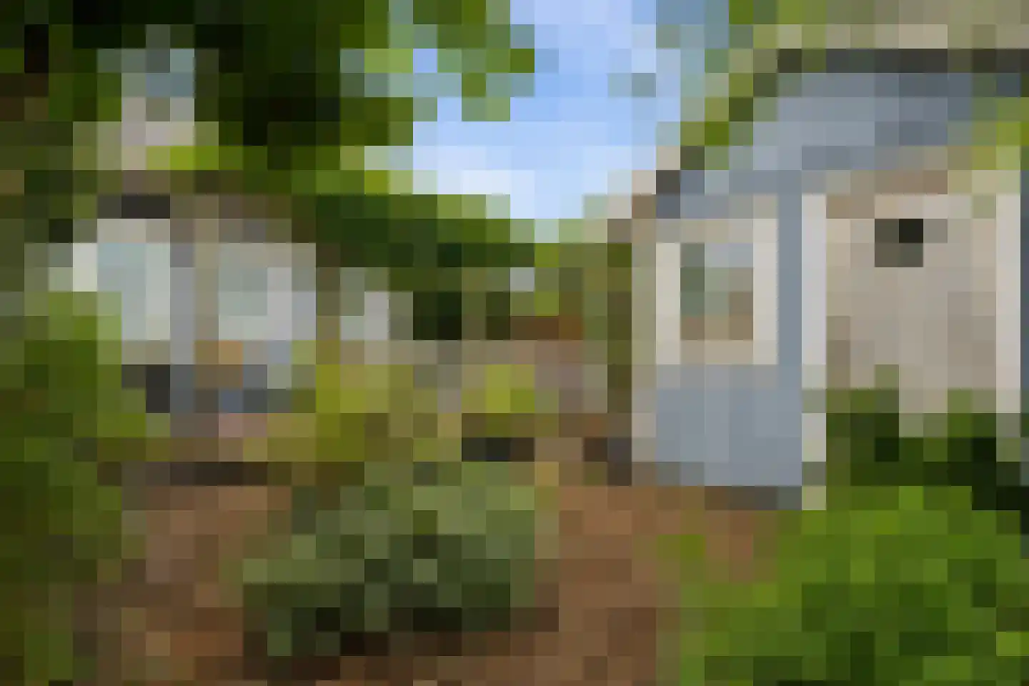 Copernicusstraat 33 Almere thumbnail 29