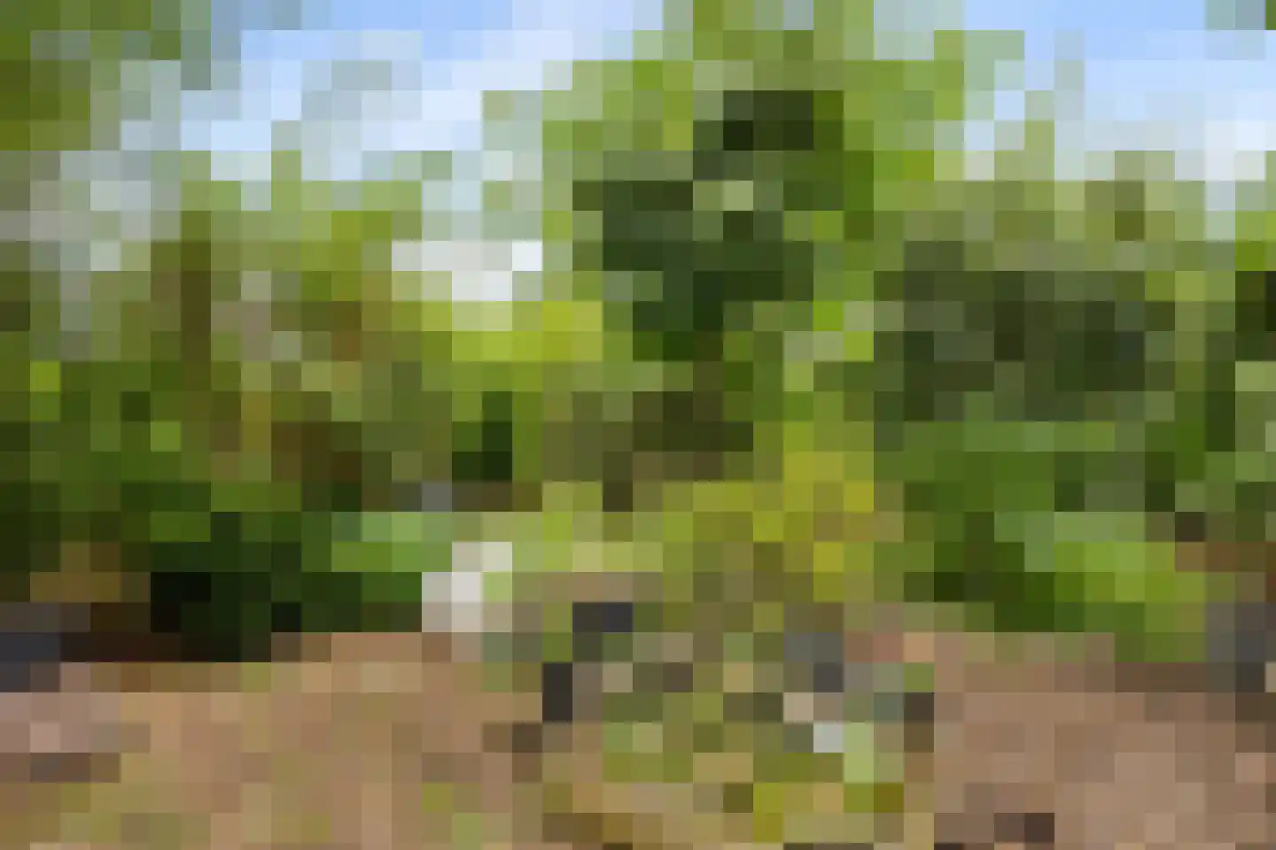 Copernicusstraat 33 Almere thumbnail 32