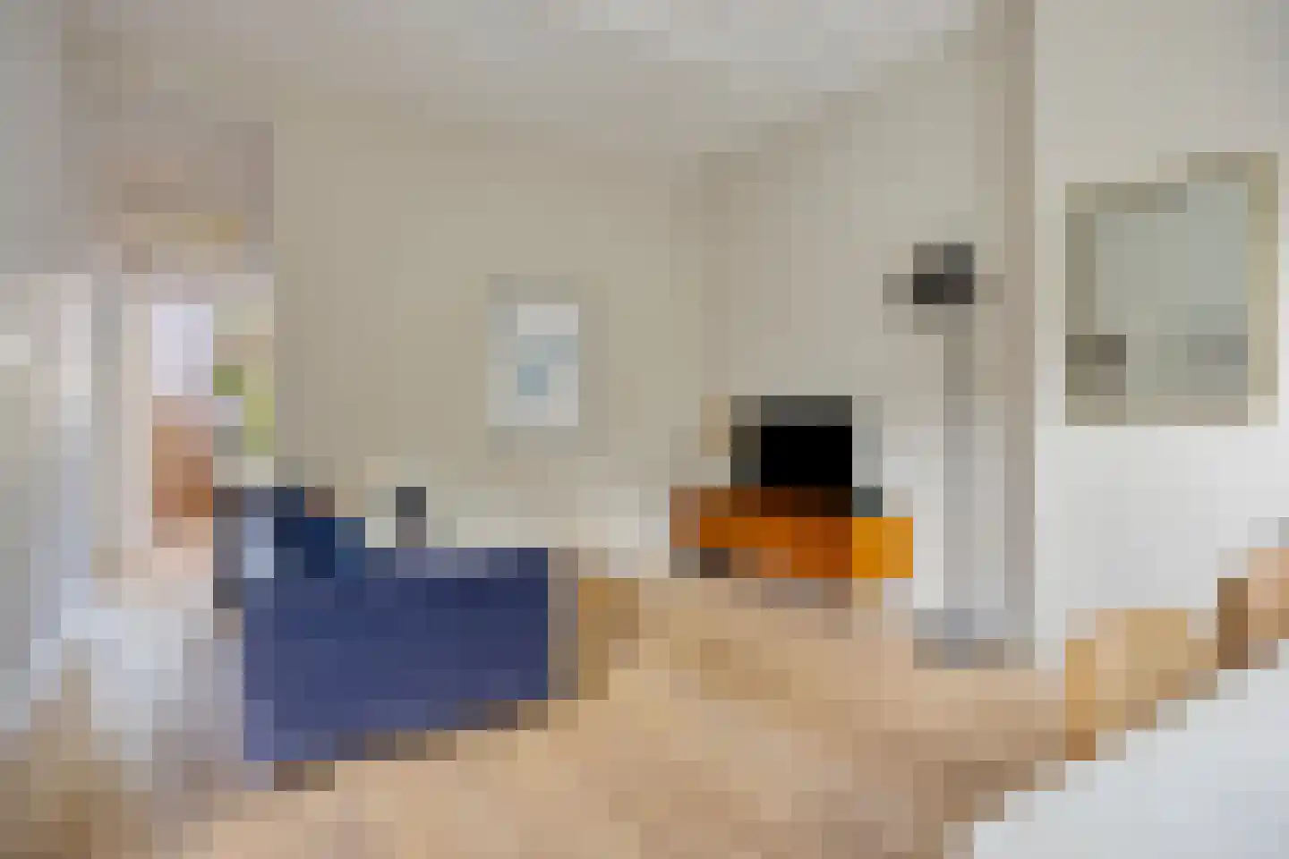 Copernicusstraat 35 Den Haag thumbnail 4