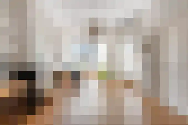 Copernicusstraat 36 Den Haag thumbnail 4