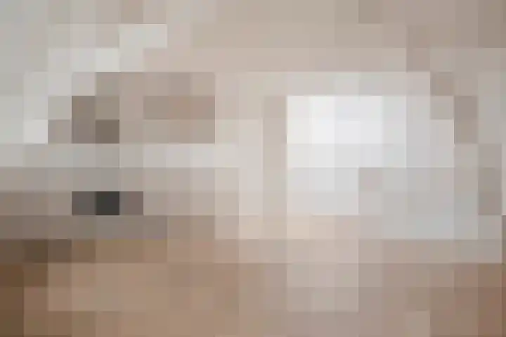 Copernicusstraat 53 B in Den Haag