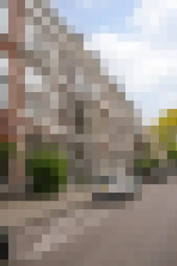 Copernicusstraat 53 B Den Haag thumbnail 31