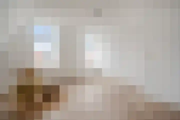 Copernicusstraat 53 B Den Haag thumbnail 4