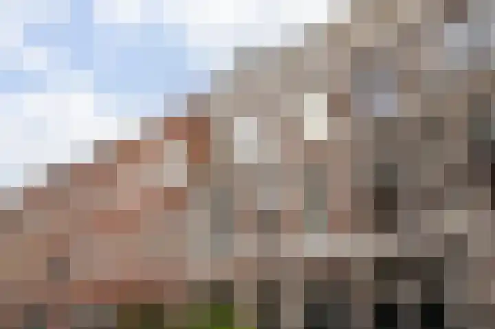Copernicusstraat 53 Den Haag thumbnail 27
